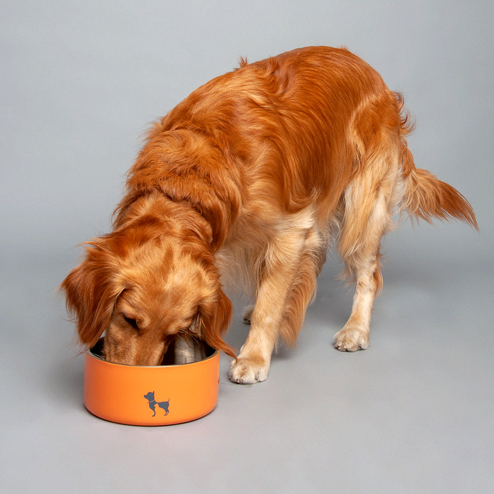 HUFT Quintessential Double-Walled Pet Bowl - 1200 ml - Heads Up For Tails