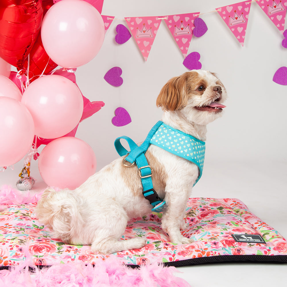 HUFT Fresh Blooms Pet Mat - Heads Up For Tails
