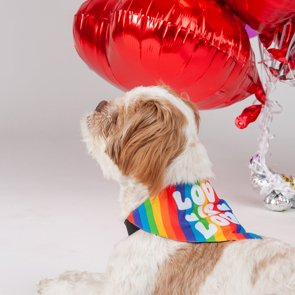 HUFT Pride Love is Love Dog Bandana - Heads Up For Tails