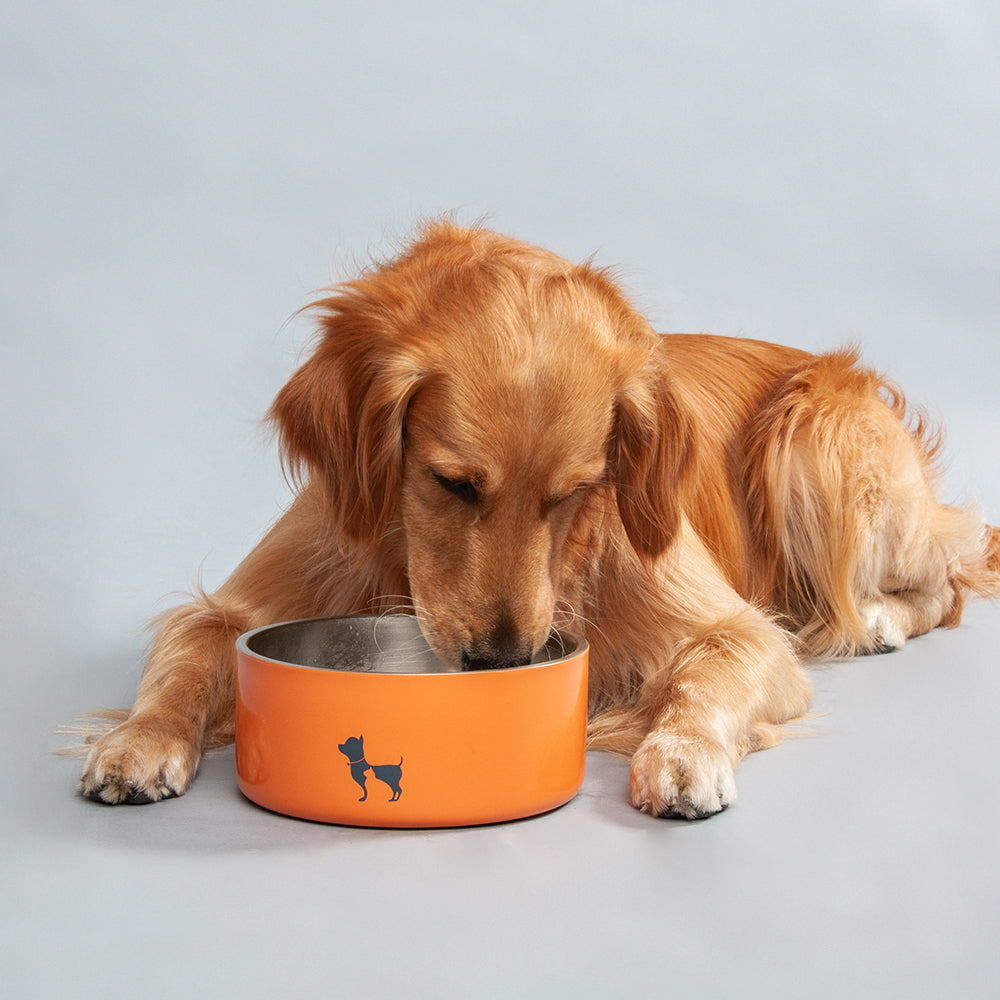 Elevated Dog Bowls Weathertech Animal Bowls Pet Comfort Bowls