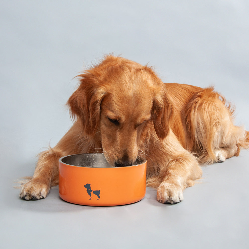 HUFT Quintessential Double-Walled Pet Bowl - 1200 ml - Heads Up For Tails
