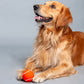 HUFT Tennis Dog Ball (Set of 2) - Heads Up For Tails