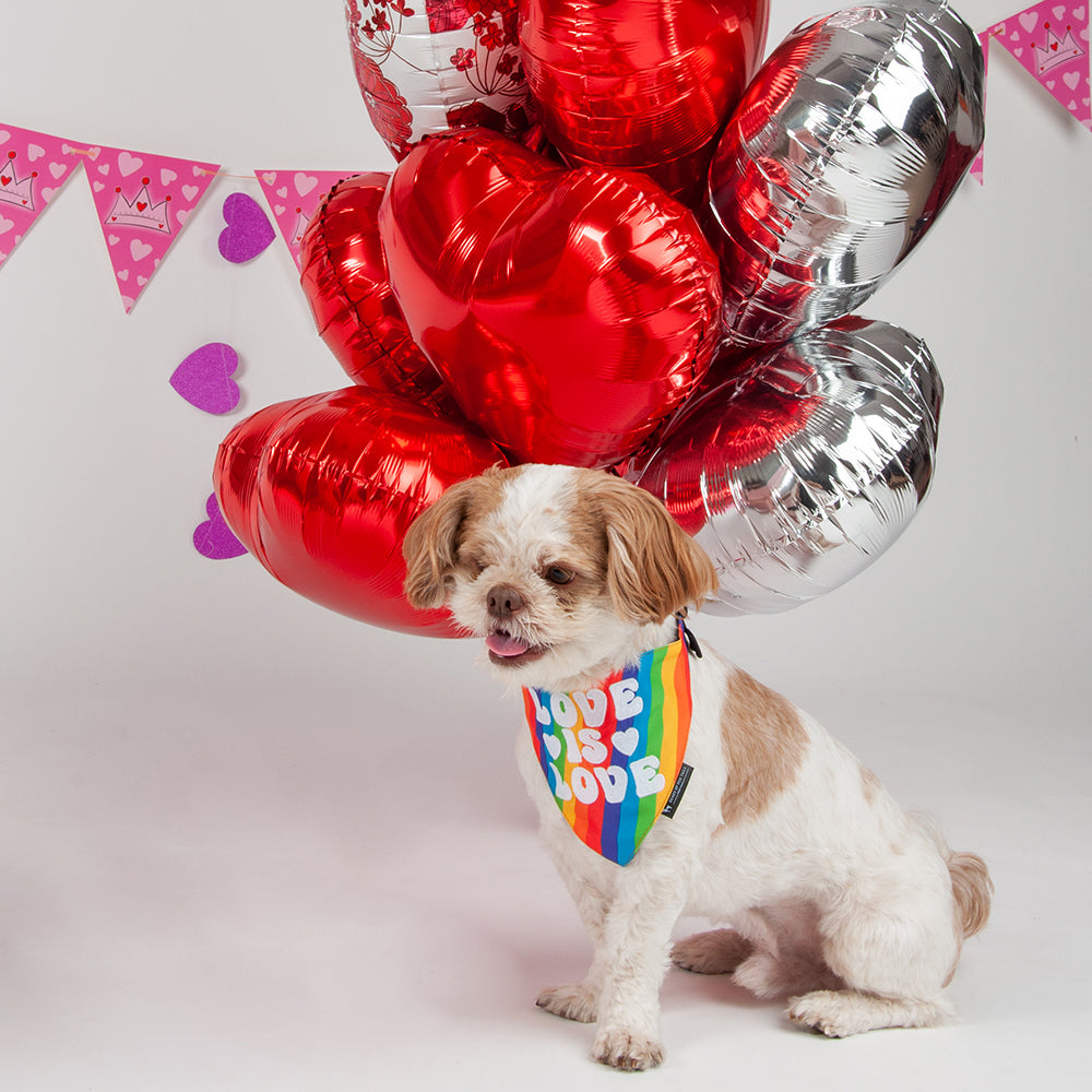 HUFT Pride Love is Love Dog Bandana - Heads Up For Tails