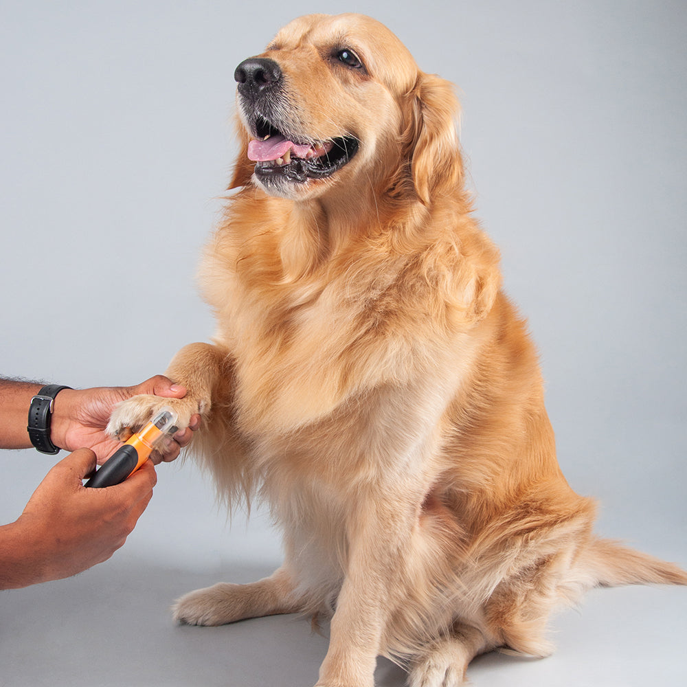 HUFT Guillotine Nail Clipper for Dogs - Heads Up For Tails