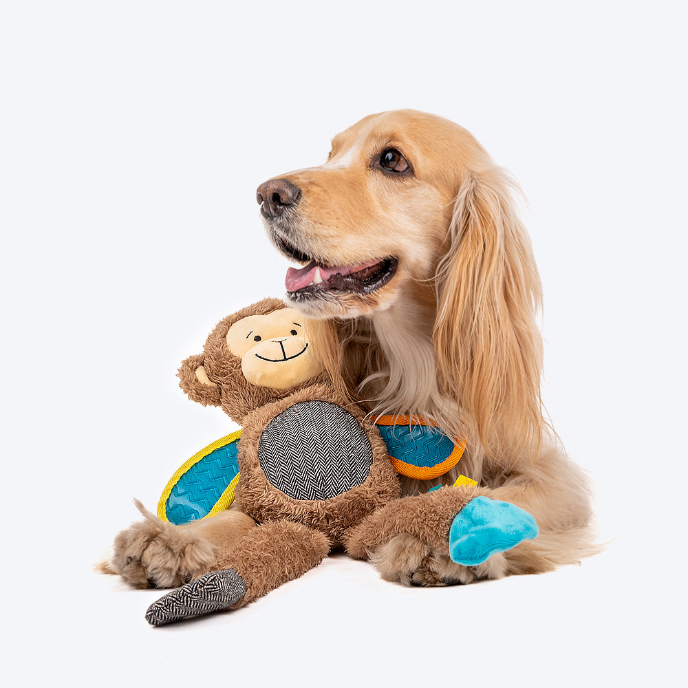 HUFT Mr. Mojo Dog Toy - Heads Up For Tails