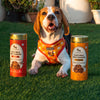 HUFT Goat Milk Dog Cookie Combo - Apple & Pumpkin - 200g Each - Heads Up For Tails