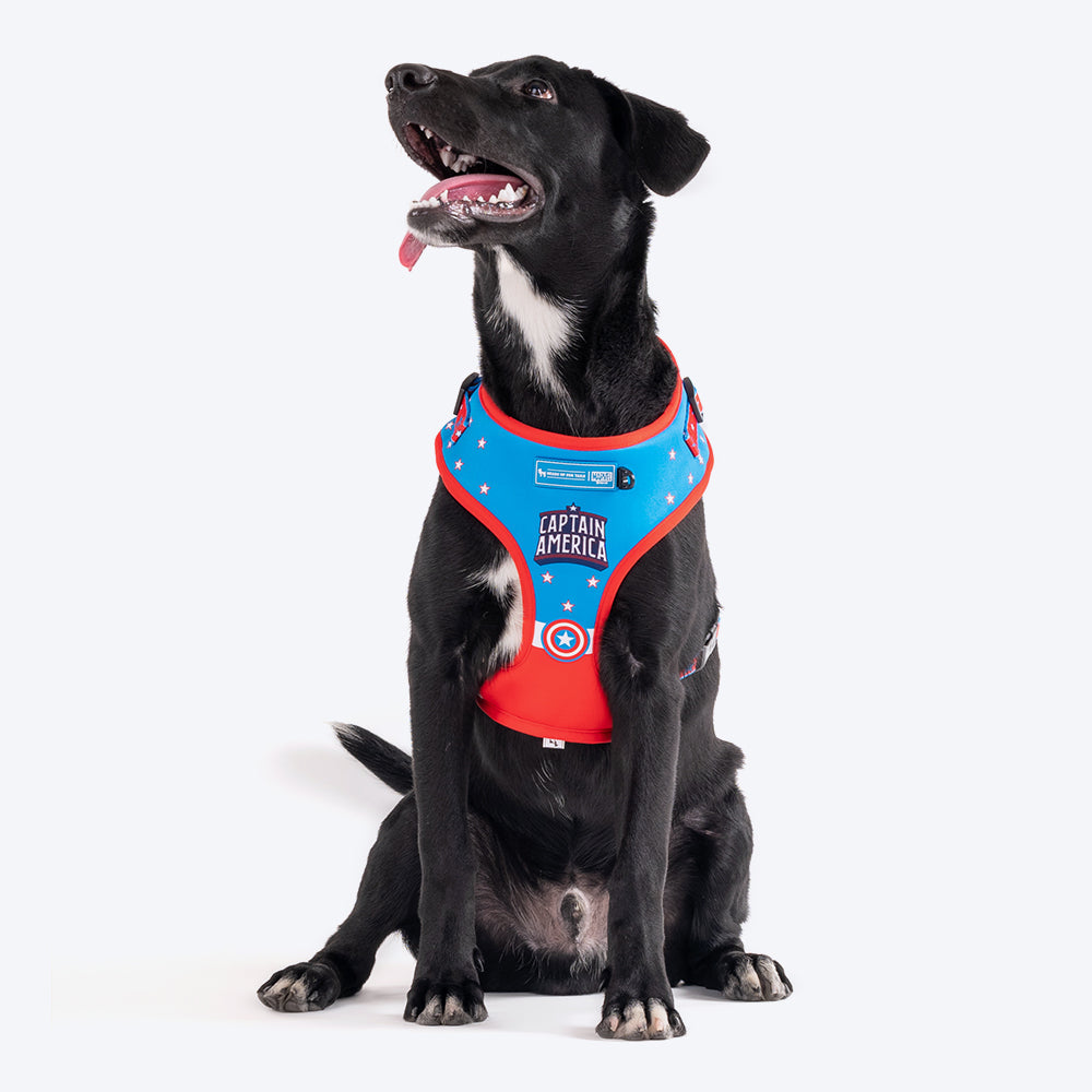 HUFT X© Marvel 2.0 Captain America Printed Dog Harness (Blue and Red)_01