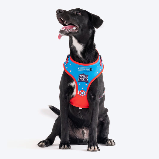 HUFT X©Marvel 2.0 Captain America Printed Reversible Dog Harness (Blue and Red) - Heads Up For Tails