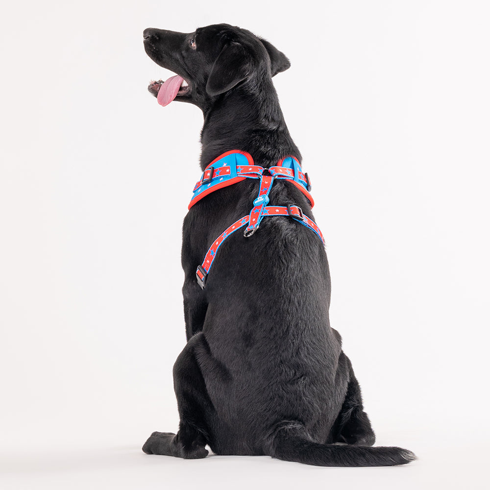 HUFT X© Marvel 2.0 Captain America Printed Dog Harness (Blue and Red)_02