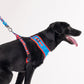 HUFT X© Marvel 2.0 Captain America Printed Dog Harness (Blue and Red)_03