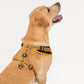 HUFT X© Marvel 2.0 Black Panther Printed Dog Harness (Yellow and Black)_03