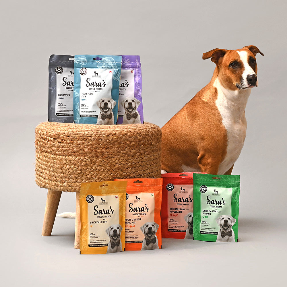 Anchovy best sale dog food