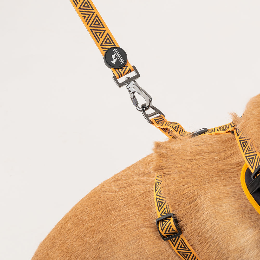 HUFT X©Marvel 2.0 Black Panther Printed Dog Leash - Black and Yellow - Heads Up For Tails