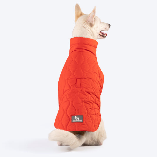 HUFT Cosy Pupper Reversible Dog Jacket- Spicy Orange - Heads Up For Tails