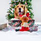 HUFT Rudolph Cuddle Dog Toy (Red and Green) - Heads Up For Tails