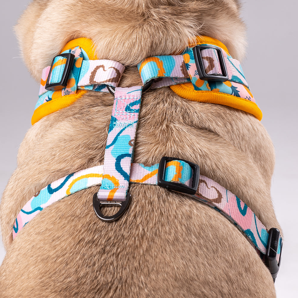 Happy Tails Large Bone Print Dog Harness - Bunnings Australia