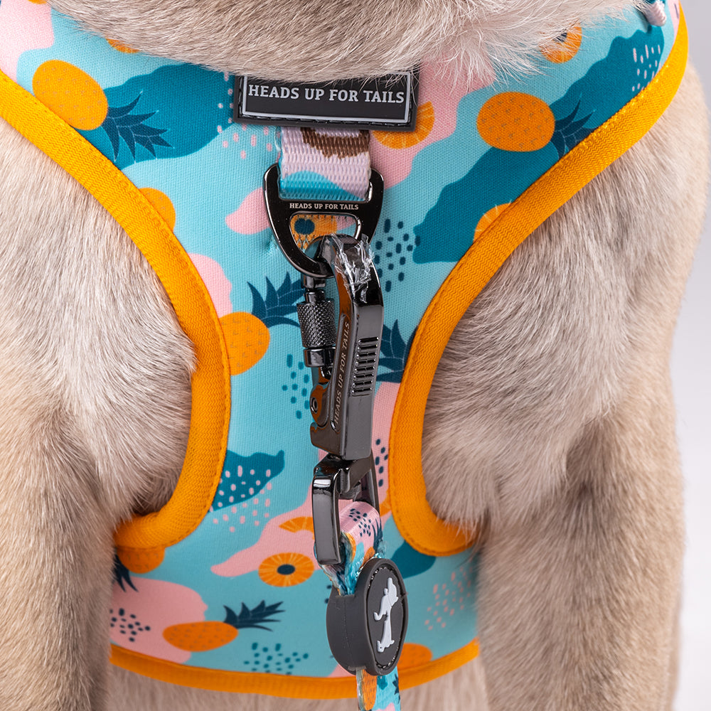 HUFT Modern Art Printed Harness - Heads Up For Tails