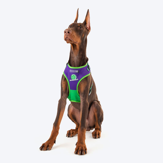 HUFT X©Marvel 2.0 Hulk Printed Reversible Dog Harness (Green and Purple) - Heads Up For Tails