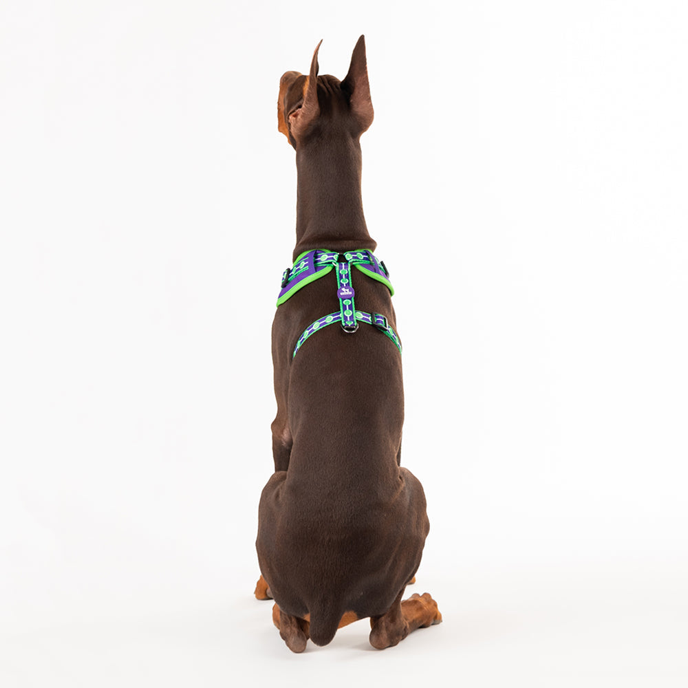 HUFT X©Marvel 2.0 Hulk Printed Reversible Dog Harness (Green and Purple) - Heads Up For Tails