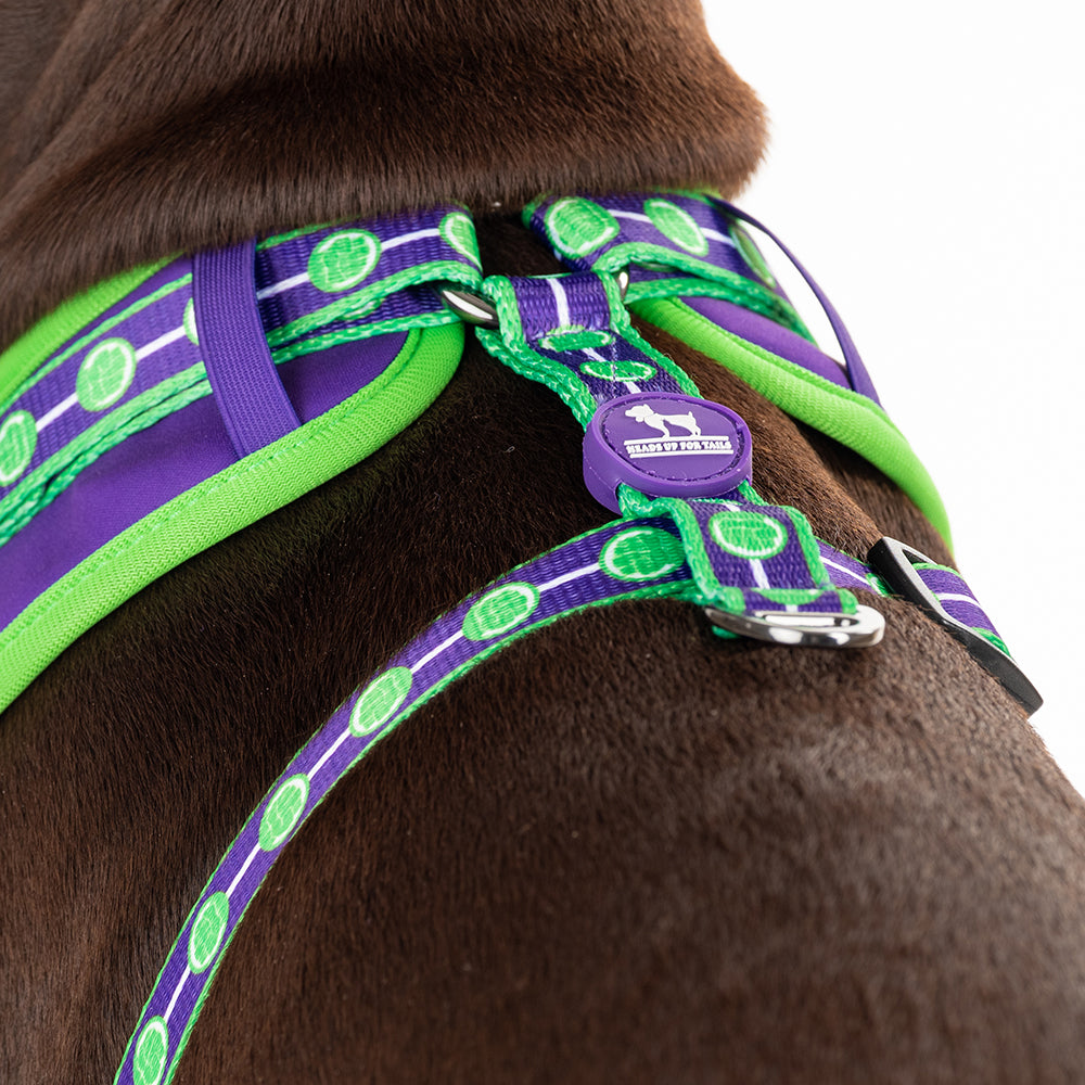 HUFT X©Marvel 2.0 Hulk Printed Reversible Dog Harness (Green and Purple) - Heads Up For Tails