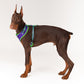 HUFT X©Marvel 2.0 Hulk Printed Reversible Dog Harness (Green and Purple) - Heads Up For Tails