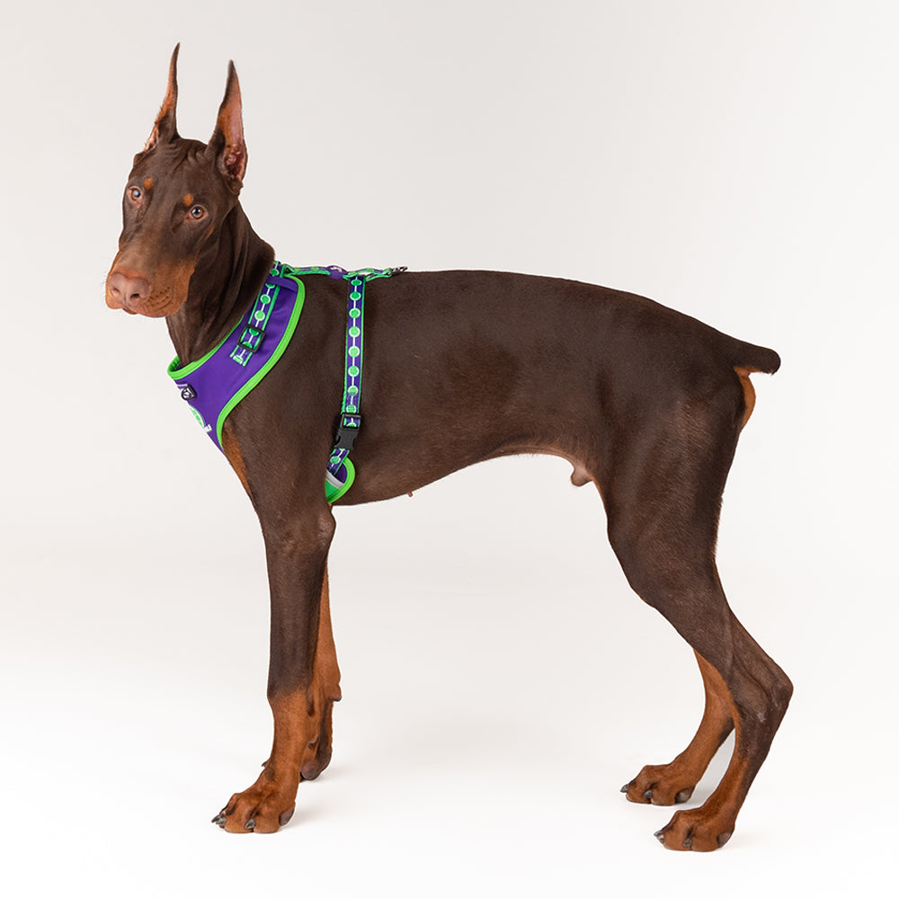 HUFT X©Marvel 2.0 Hulk Printed Reversible Dog Harness (Green and Purple) - Heads Up For Tails