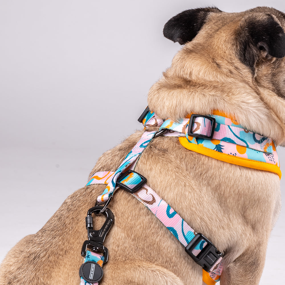 HUFT Modern Art Printed Harness - Heads Up For Tails