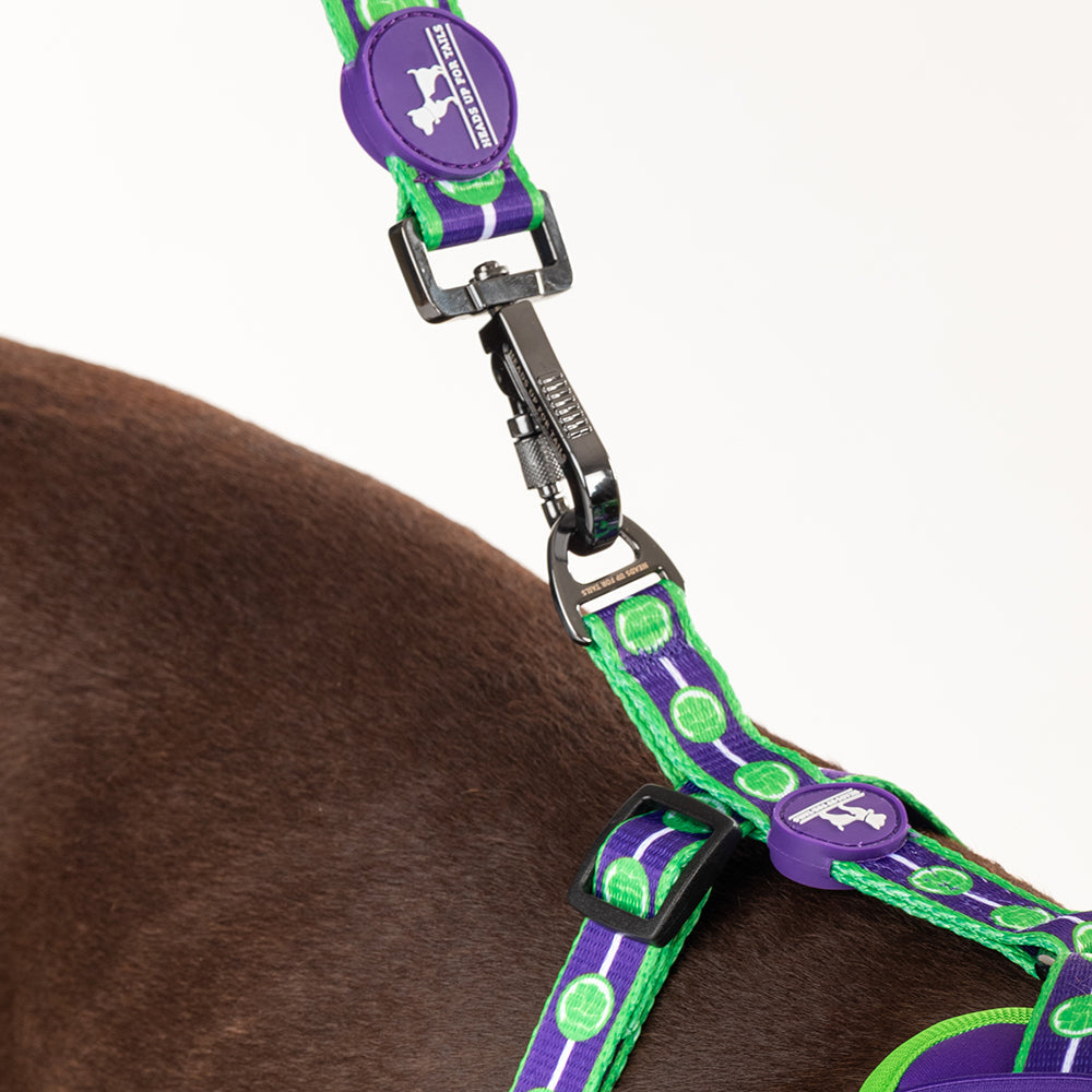 HUFT X©Marvel 2.0 Hulk Printed Dog Leash - Purple and Green - Heads Up For Tails