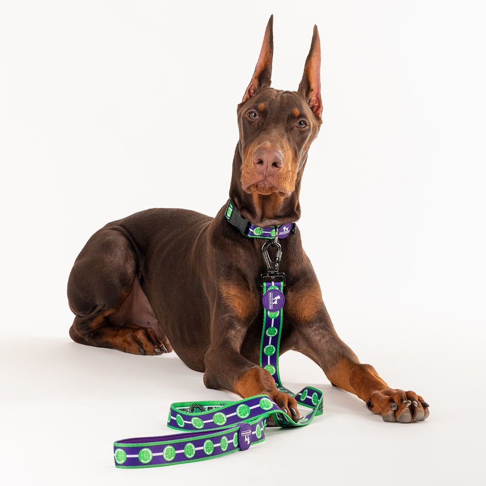 HUFT X©Marvel 2.0 Hulk Printed Dog Leash - Purple and Green - Heads Up For Tails