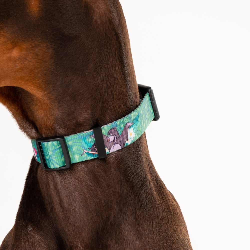 HUFT X©Disney 2.0 Jungle Book Printed Dog Collar - Green - Heads Up For Tails