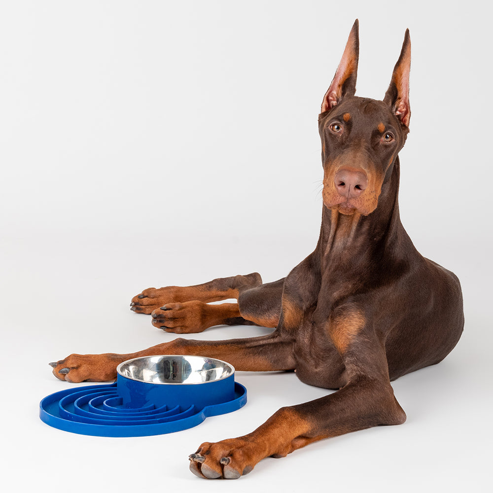 HUFT Insert Lick Slow Feeder Bowl Mat - Blue - Heads Up For Tails