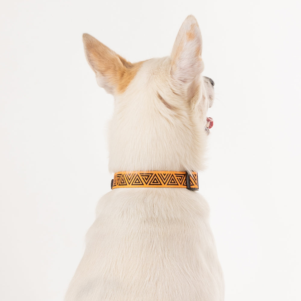 HUFT X©Marvel 2.0 Black Panther Printed Dog Collar - Yellow and Black - Heads Up For Tails