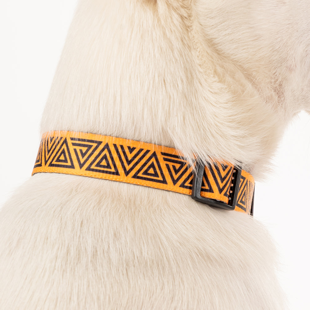 HUFT X©Marvel 2.0 Black Panther Printed Dog Collar - Yellow and Black - Heads Up For Tails