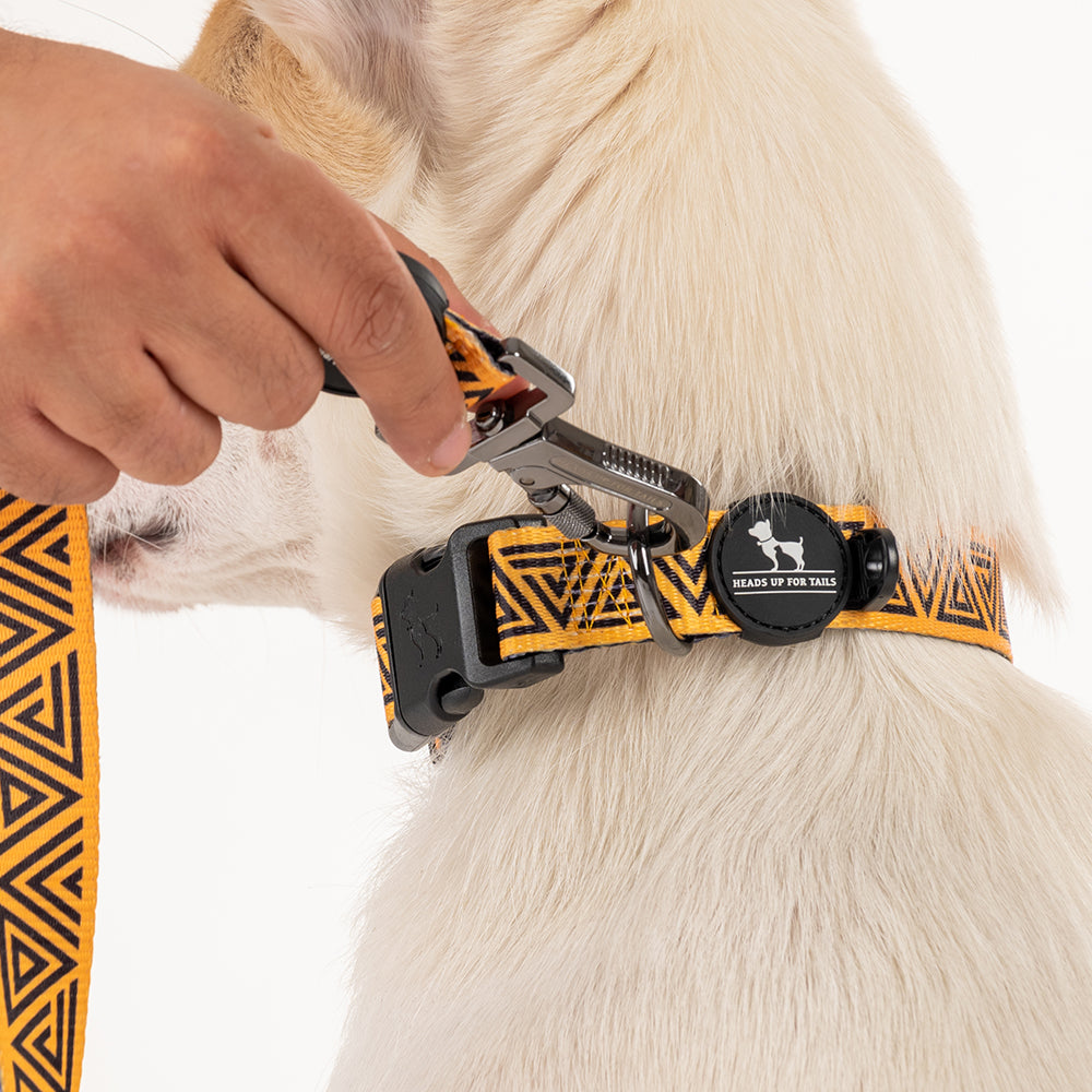 HUFT X©Marvel 2.0 Black Panther Printed Dog Collar - Yellow and Black - Heads Up For Tails