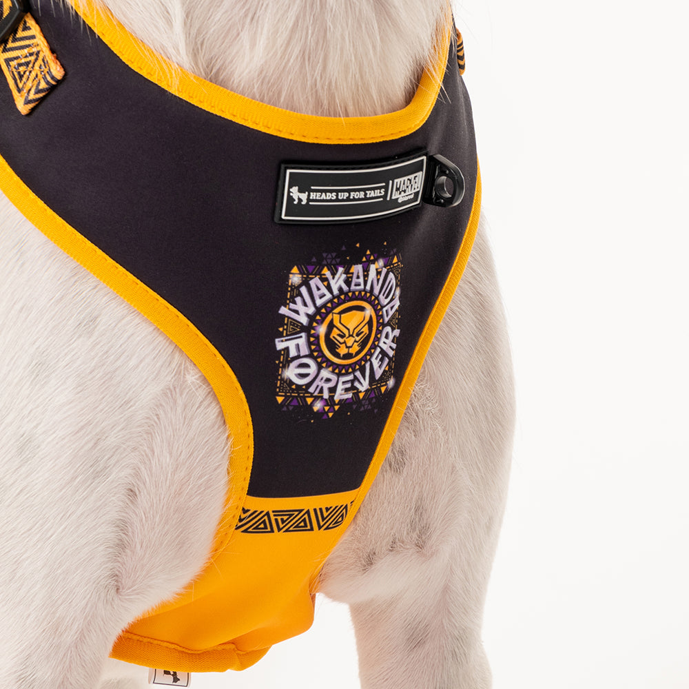 HUFT X© Marvel 2.0 Black Panther Printed Dog Harness (Yellow and Black)_06