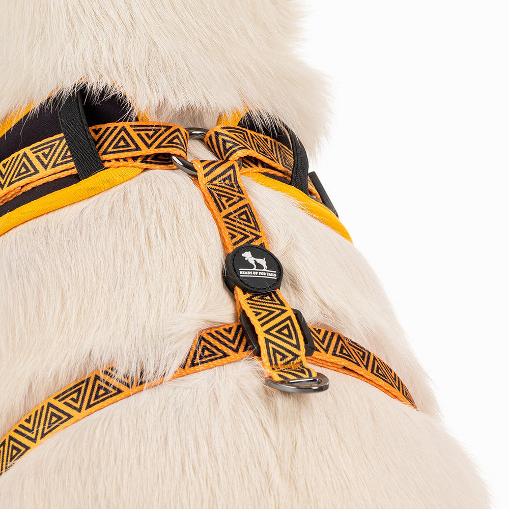 HUFT X©Marvel 2.0 Tails Harness Printed Black Panther For and Dog Up – Black) Heads (Yellow