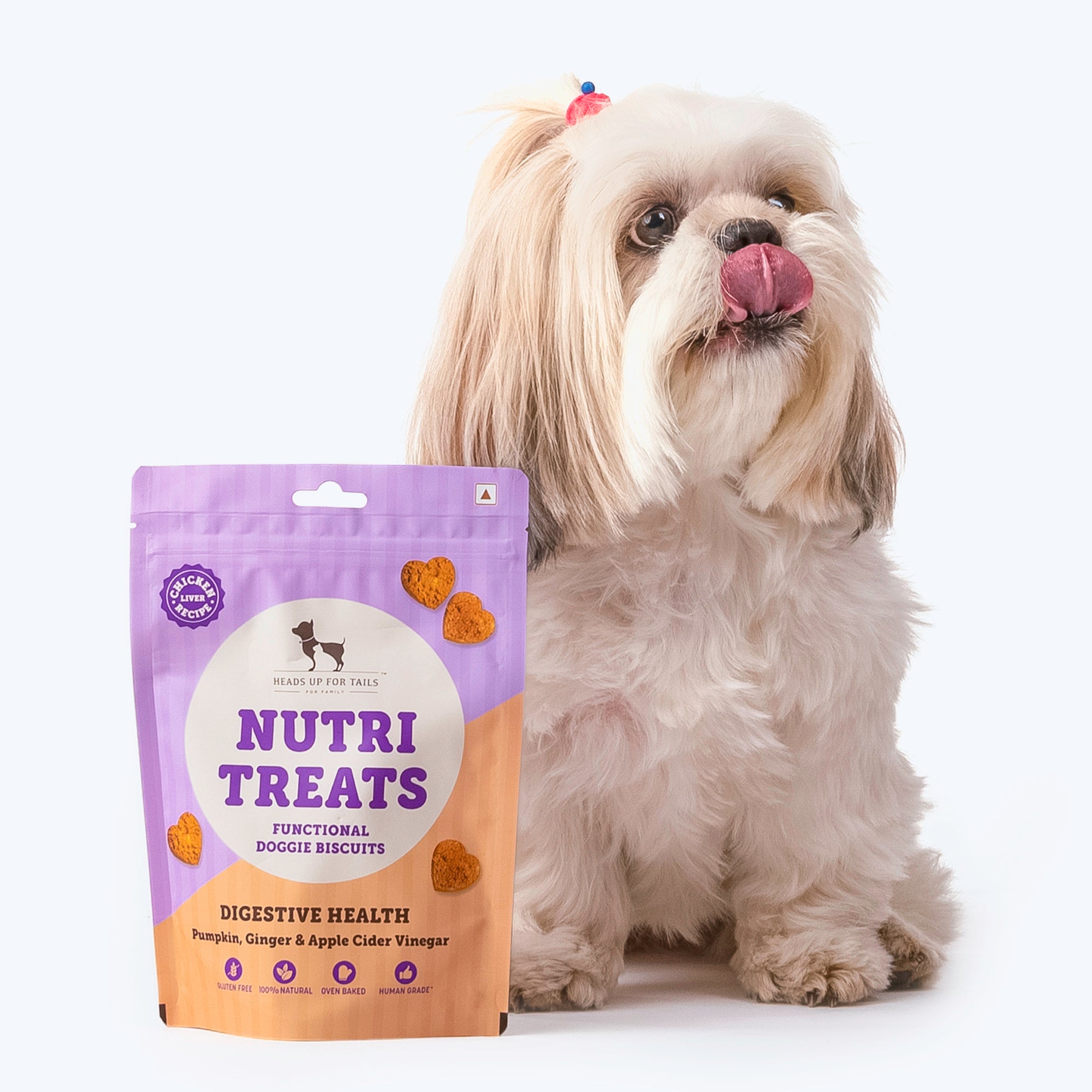 Best treat food outlet for dogs