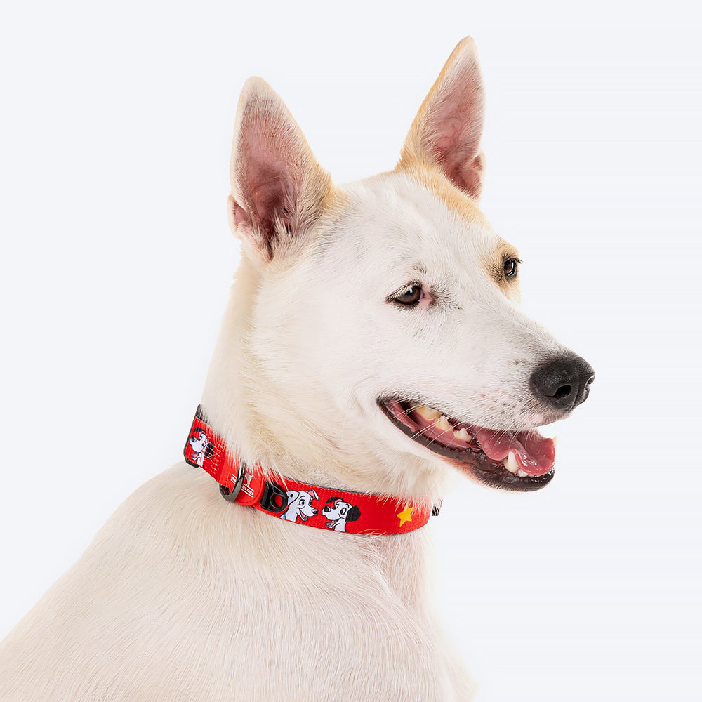 HUFT X©Disney 2.0 Dalmatian Printed Dog Collar - Red and Navy - Heads Up For Tails