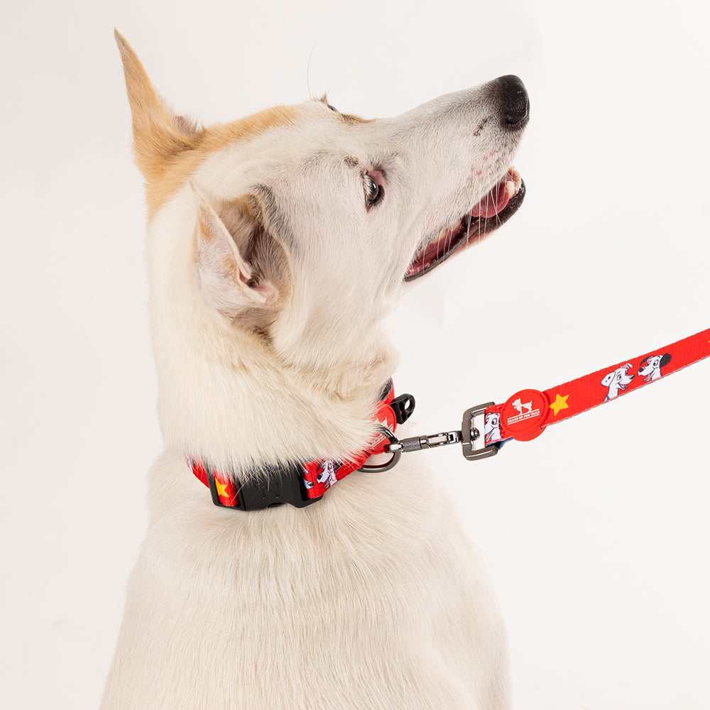 HUFT X©Disney 2.0 Dalmatian Printed Dog Collar - Red and Navy - Heads Up For Tails