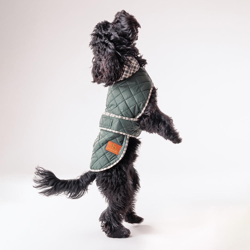 HUFT Grrberry Quilted Dog Jacket- Forest Green - Heads Up For Tails