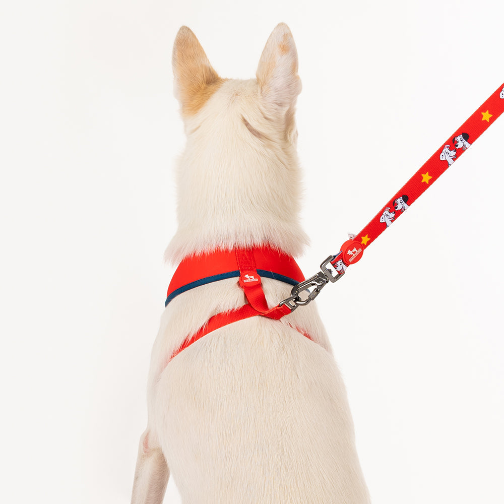 HUFT X©Disney 2.0 Dalmatian Printed Dog Leash - Red and Navy - Heads Up For Tails
