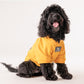 HUFT Best Dog Ever Pet Sweatshirt - Yellow - Heads Up For Tails