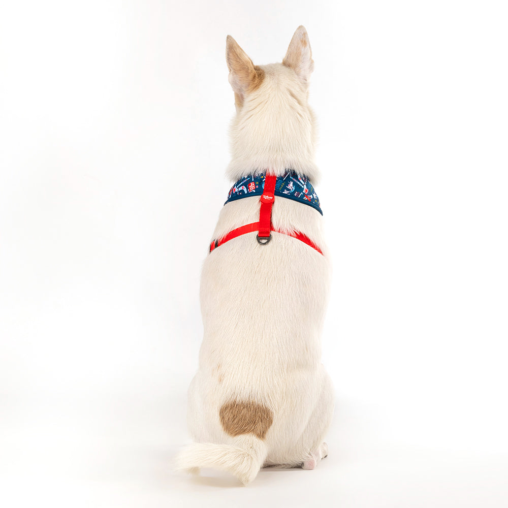 Disney tails harness sale