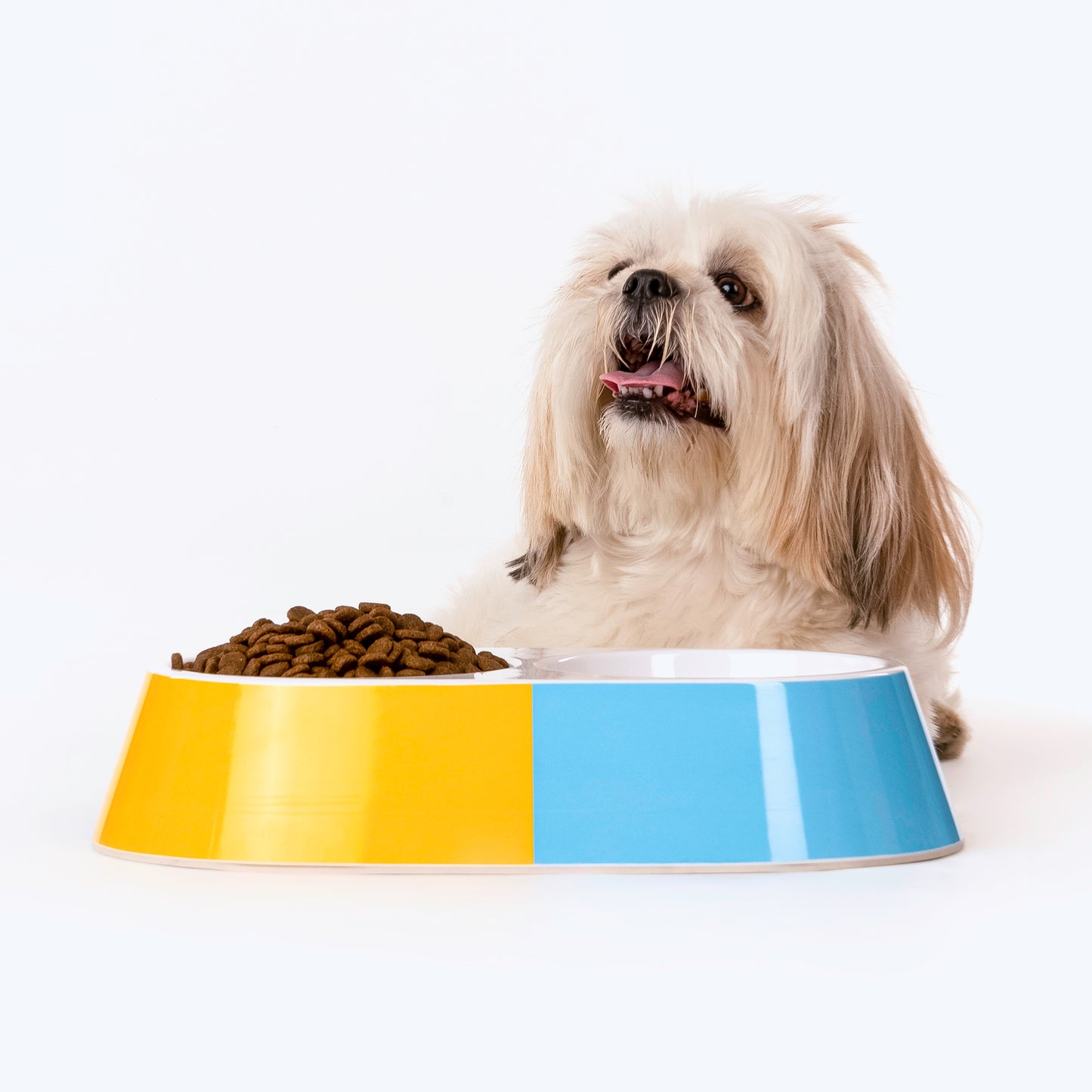 HUFT Artsy Eats Double Diner Melamine Bowl For Dogs And Cats - Heads Up For Tails