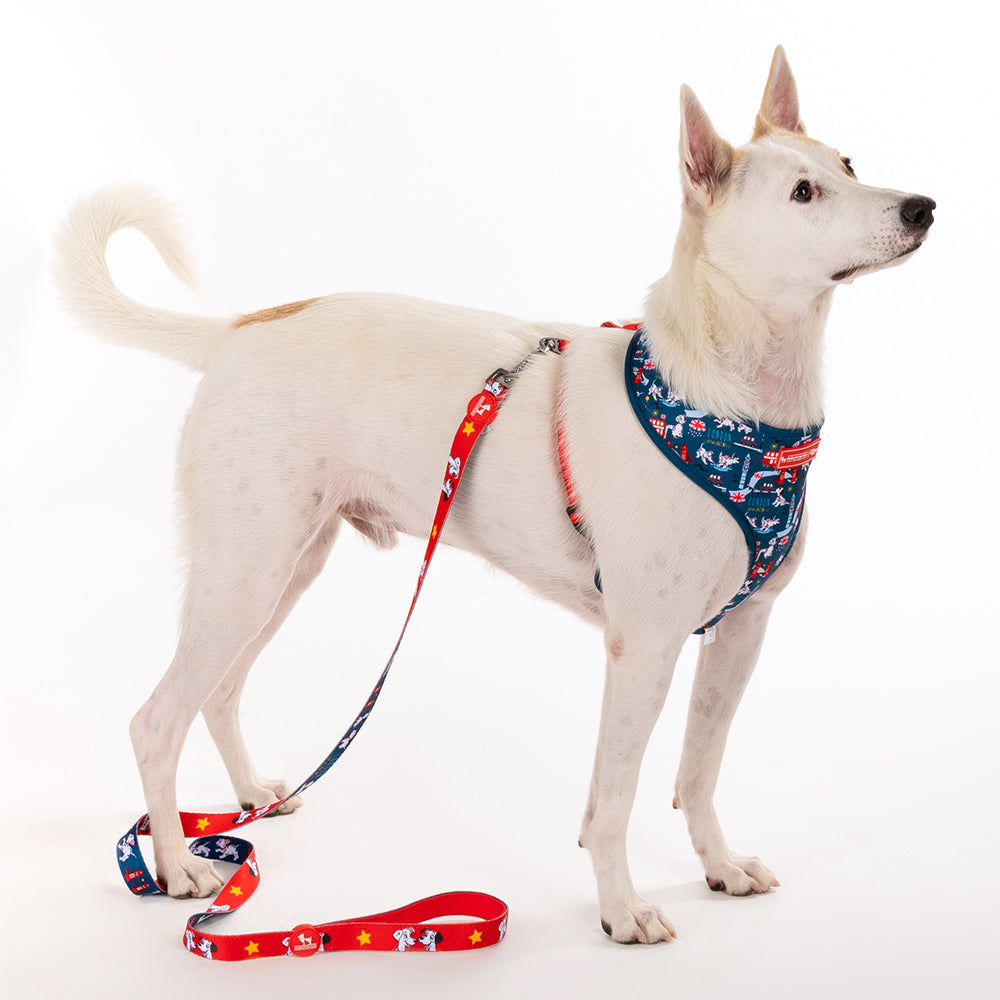 HUFT X©Disney 2.0 Dalmatian Printed Dog Leash - Red and Navy - Heads Up For Tails