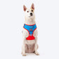 HUFT X© Marvel 2.0 Captain America Printed Dog Harness (Blue and Red)_04