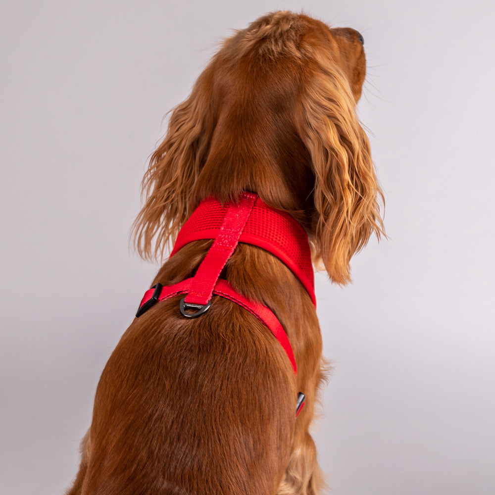 HUFT Classic Mesh Dog Harness - Red - Heads Up For Tails