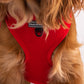 HUFT Classic Mesh Dog Harness - Red - Heads Up For Tails