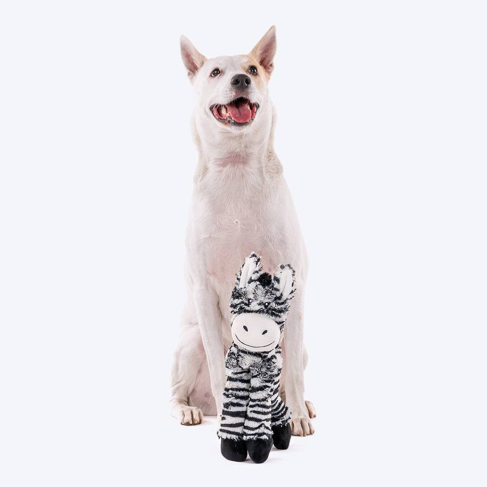 HUFT Stripey Zebra Rope Dog Toy - Heads Up For Tails
