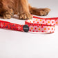 HUFT Summer Rapture Printed Leash - Heads Up For Tails